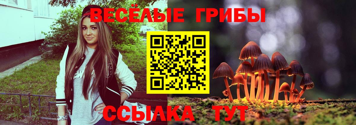Псилоцибиновые грибы Калач-на-Дону