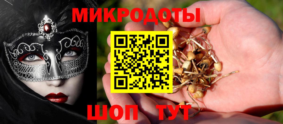 Псилоцибиновые грибы Psilocybine cubensis  Псилоцибиновые грибы GOLDEN TEACHER  Калач-на-Дону  Вход с VPN 
